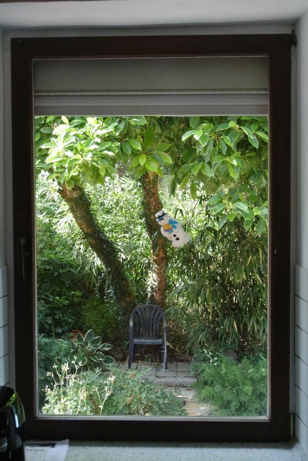 Ferienwohnung Zur Muehle Sotzweiler Exterior photo