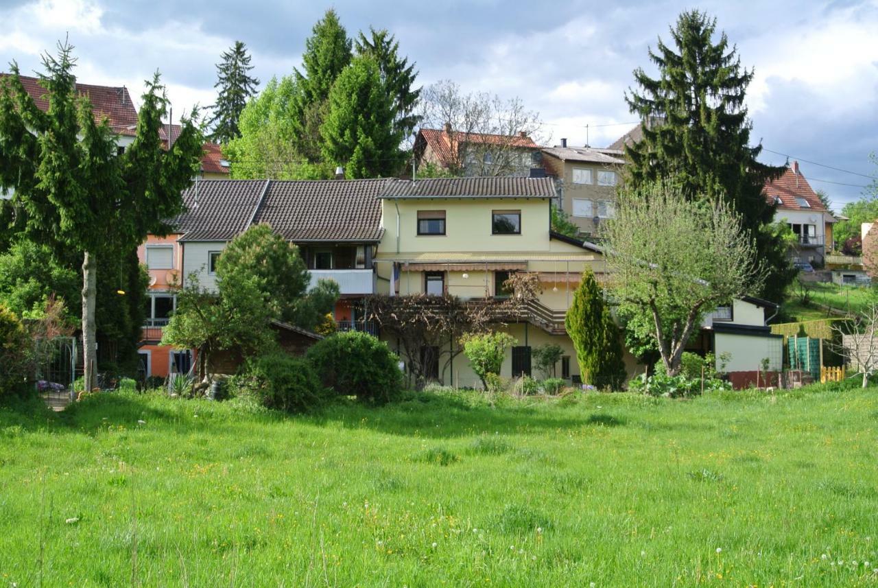 Ferienwohnung Zur Muehle Sotzweiler Exterior photo