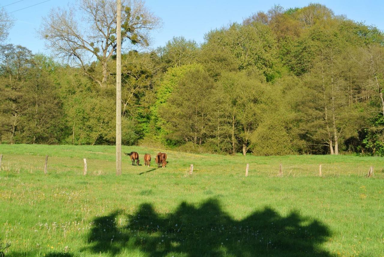 Ferienwohnung Zur Muehle Sotzweiler Exterior photo